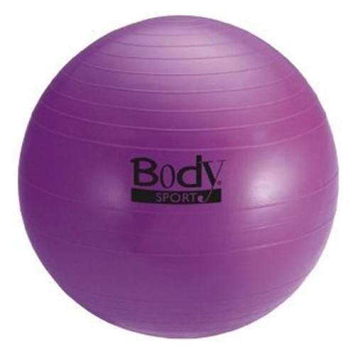 Body Sport Exercise Ball at HealthyKin.com