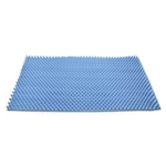 McKesson Foam Mattress Pad